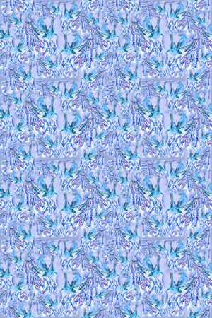 鸟的天堂印花华亿平台图片