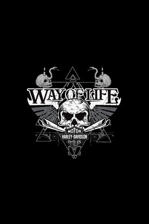 金属风印花华亿平台图片