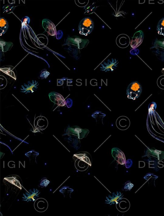 黑底。海洋印花华亿平台图片