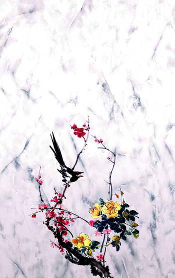 梅花印花华亿平台图片