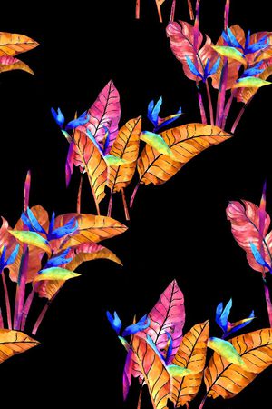 黑白底印花华亿平台图片