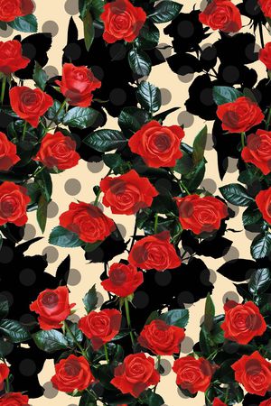 玫瑰印花华亿平台图片