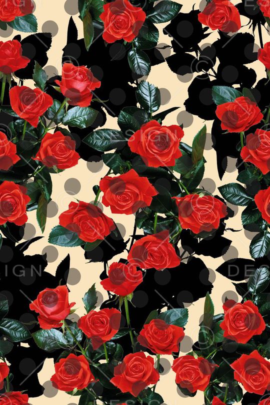 玫瑰印花华亿平台图片