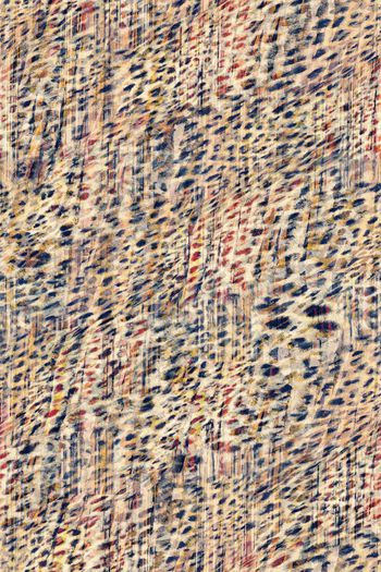 605228-豹纹树皮22