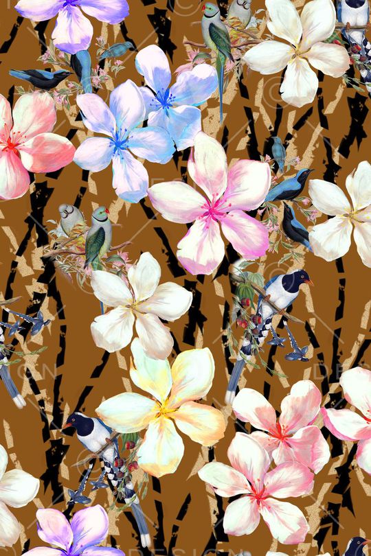 女装印花华亿平台图片