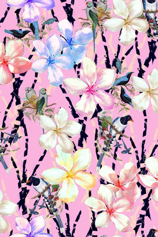 女装印花华亿平台图片