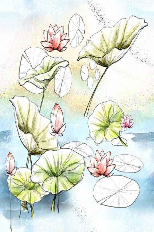 荷花印花华亿平台图片