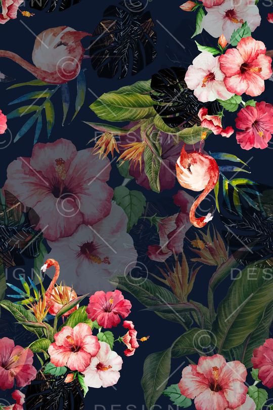 热带印花华亿平台图片