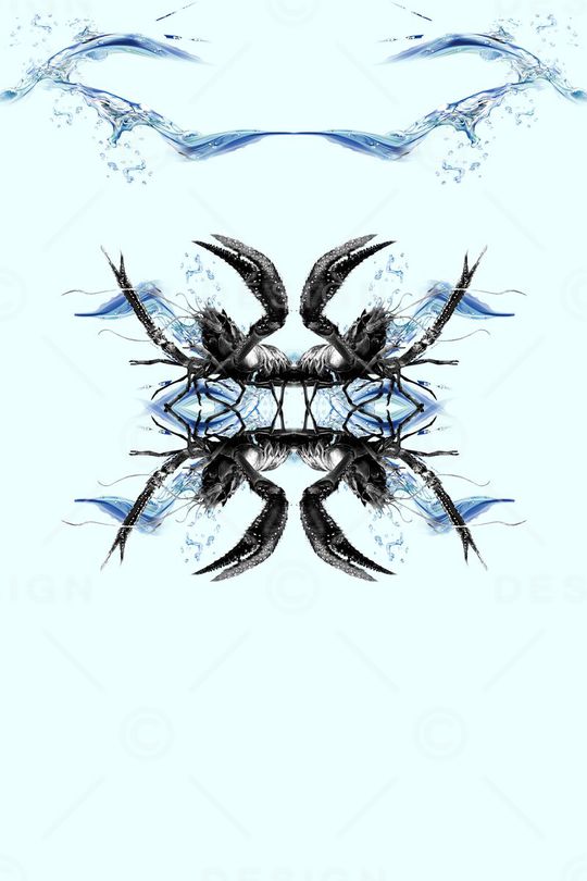 龙虾印花华亿平台图片