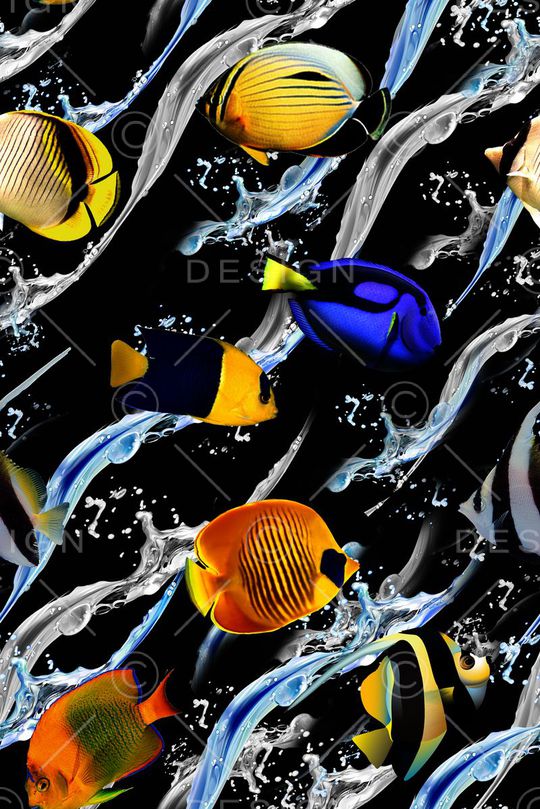 热带鱼印花华亿平台图片