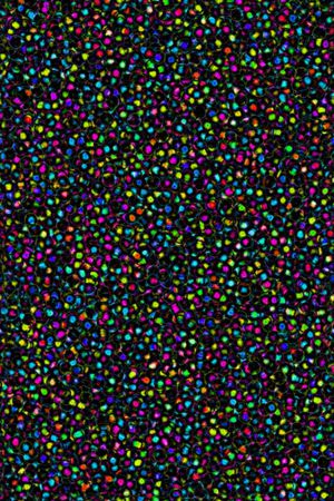 肌理印花华亿平台图片