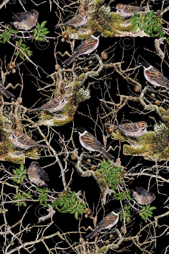 动物印花华亿平台图片