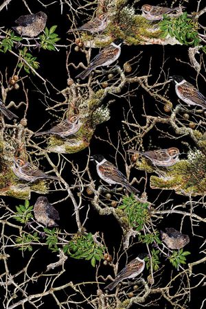 动物印花华亿平台图片