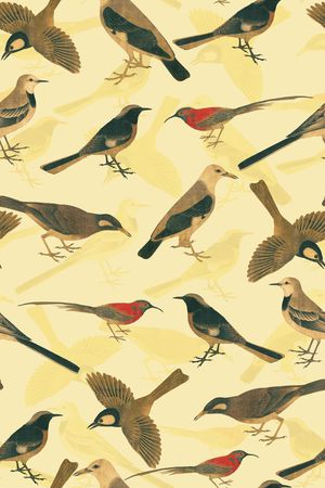 时尚清新印花华亿平台图片