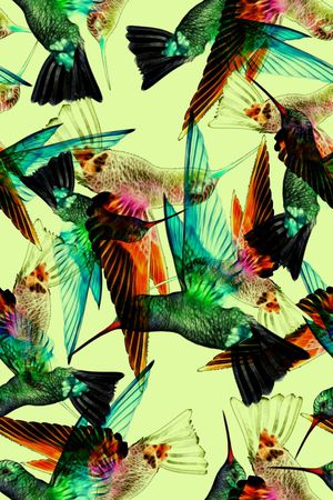 飞鸟印花华亿平台图片