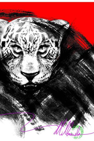 满身印花华亿平台图片