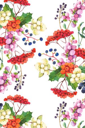 水果葡萄提子蓝莓印花华亿平台图片