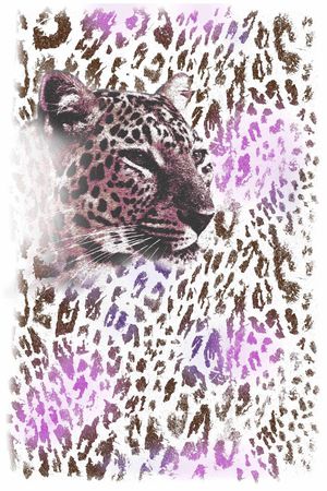 动物纹印花华亿平台图片