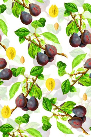 女装衬衫印花华亿平台图片