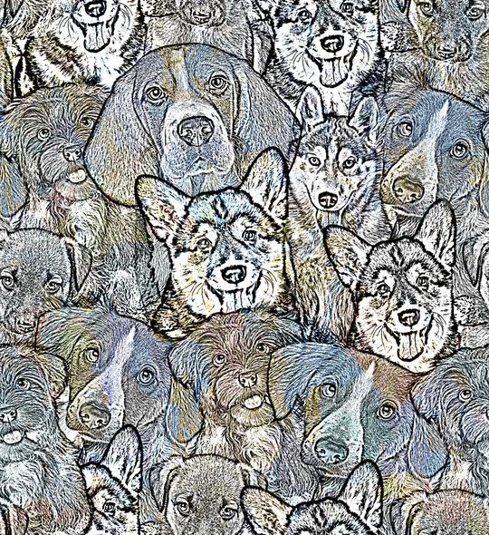 动物印花华亿平台图片