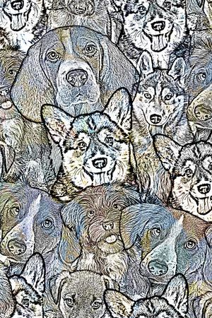 动物印花华亿平台图片