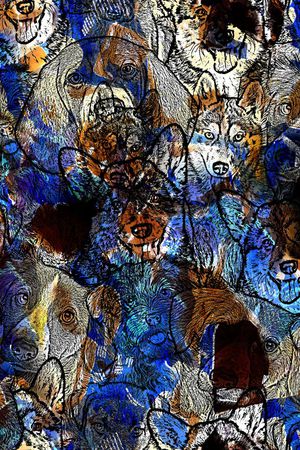 狗狗印花华亿平台图片