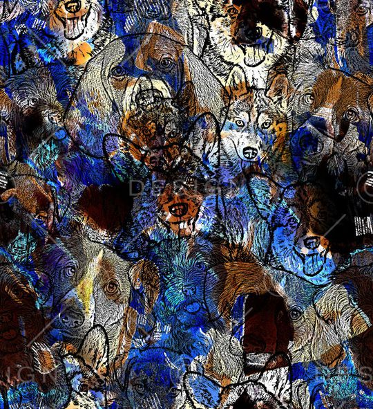 狗狗印花华亿平台图片