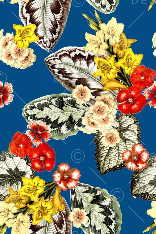 热带印花华亿平台图片