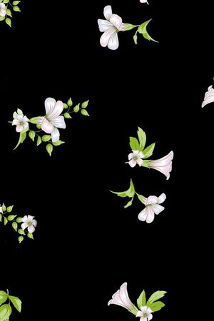 牵牛花印花华亿平台图片