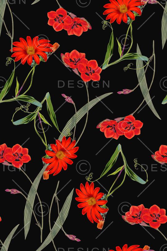 手绘水彩花卉女装印花华亿平台图片