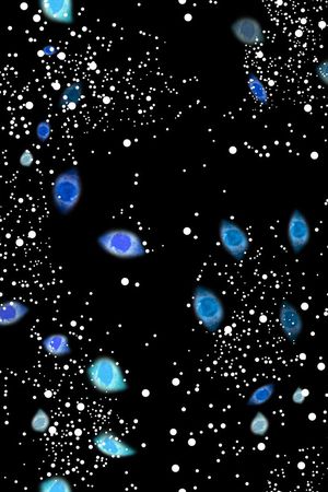 波点印花华亿平台图片