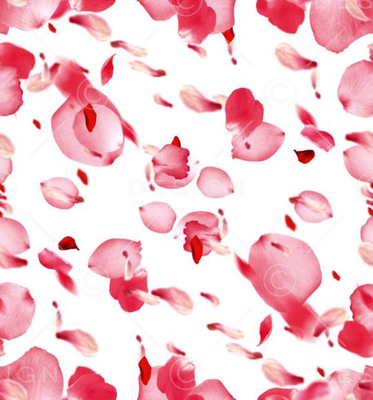 浪漫印花华亿平台图片