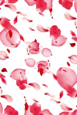 浪漫印花华亿平台图片