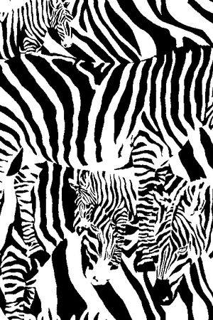 丝绸印花华亿平台图片