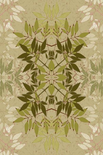 606763-日本输液2