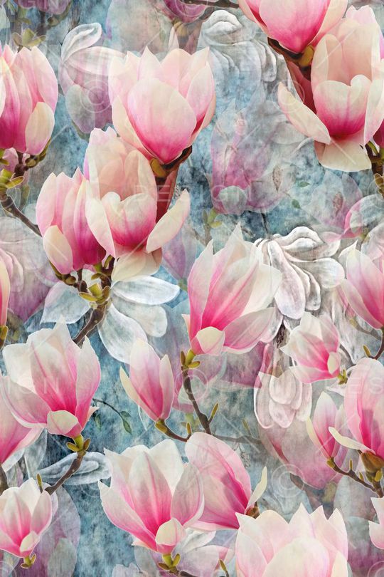 玉兰花印花华亿平台图片