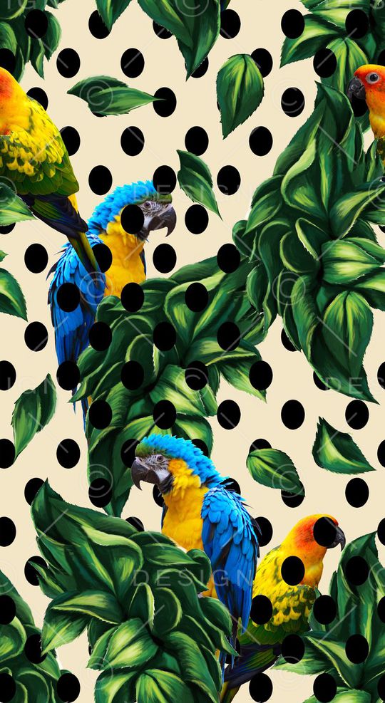 鹦鹉印花华亿平台图片