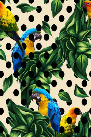 鹦鹉印花华亿平台图片