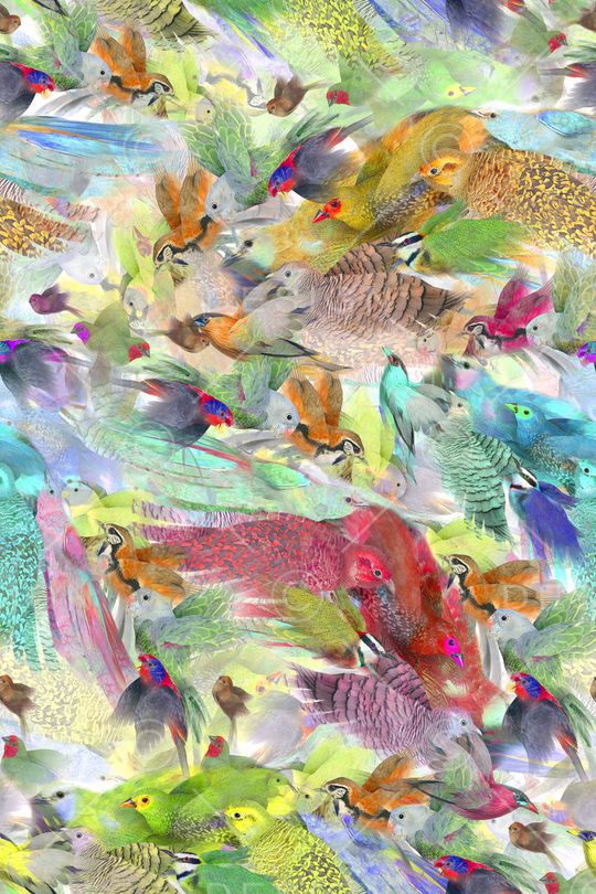 天堂鸟花印花华亿平台图片