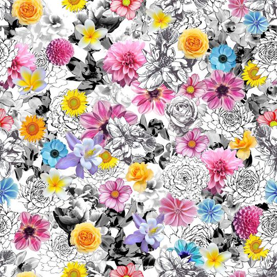 黑白印花华亿平台图片