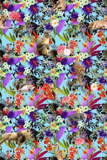 606828-植物花卉 热带雨林 植物动物