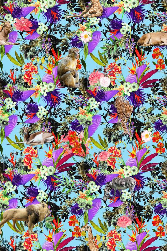 男装女装图案印花华亿平台图片