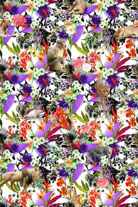 男装女装图案印花华亿平台图片