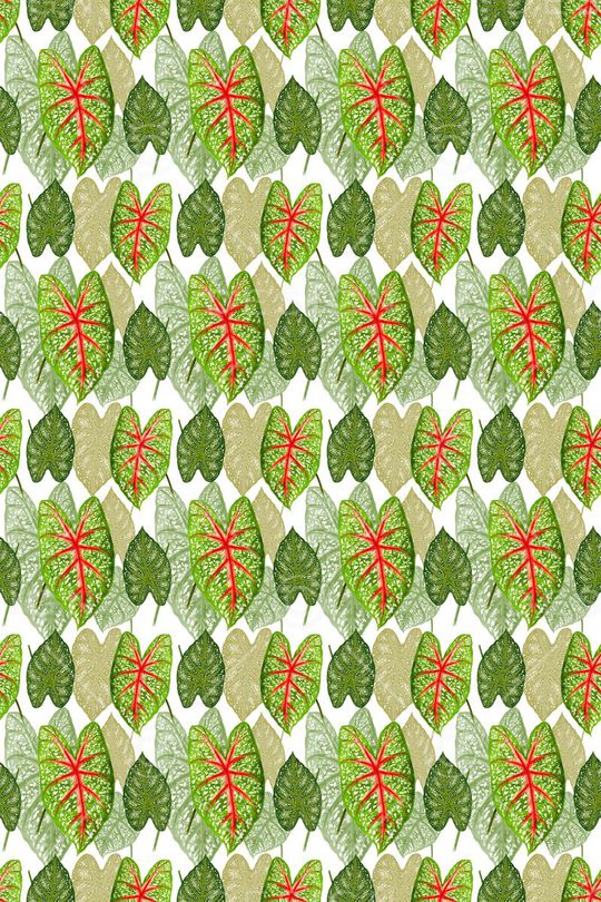 花卉叶子印花华亿平台图片