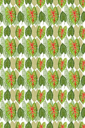 花卉叶子印花华亿平台图片