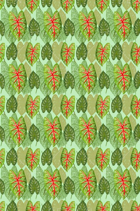 花卉叶子印花华亿平台图片