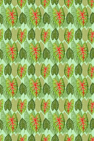 花卉叶子印花华亿平台图片