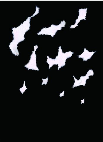 NB印花华亿平台图片