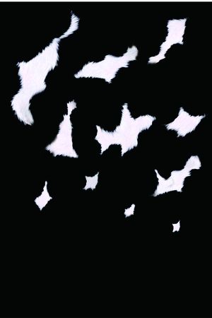 NB印花华亿平台图片