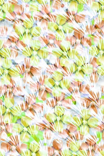 607002-花卉纹理3